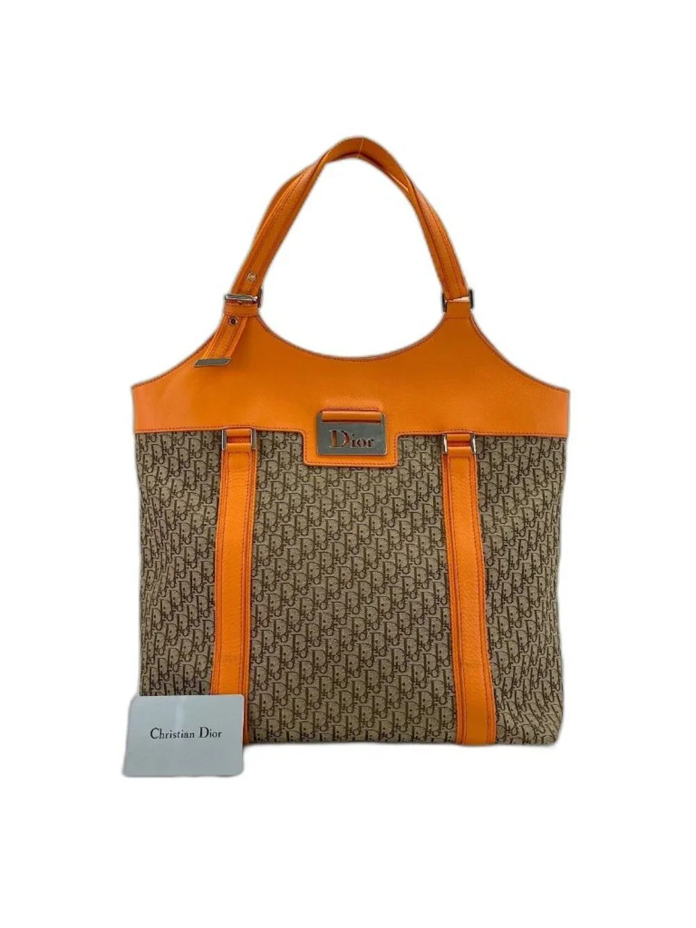 Dior Tote Street Chic Trotter